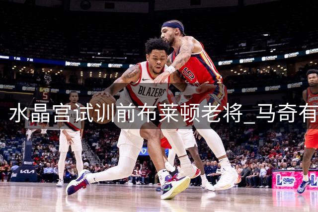 水晶宫试训前布莱顿老将 马奇有望自由转会
