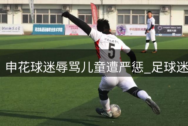 申花球迷辱骂儿童遭严惩 足球迷狂热度需降温